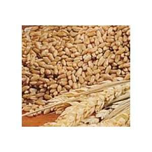Red Wheat 10 Lb Bag, Biologically Grown Non GMO Whole grain