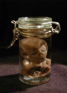 LITTLE GRAY ALIEN BABY IN JAR UFO AREA 51, ALIEN FETUS, ROSWELL #89 