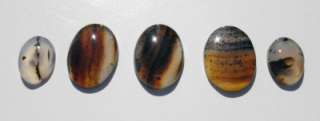 Set of 5 MONTANA MOSS AGATE OVAL CABOCHONS 63.40 Carats  