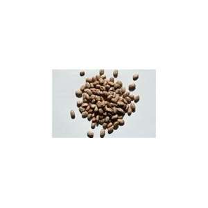 Beans Triple Clean 50 Pound Pinto Bean Grocery & Gourmet Food
