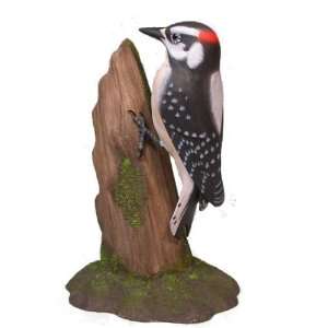  Backyard Bird Carvings Downy Woodpecker: Home & Kitchen