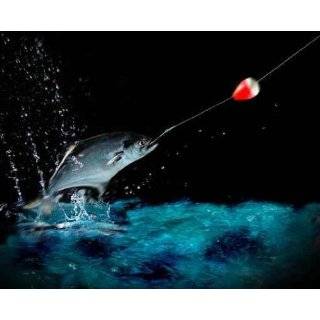Catching a Big Fish at Night   36W x 29H   Peel and Stick Wall Decal 