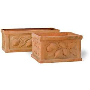  citrus trough planters Patio, Lawn & Garden