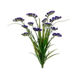  21 Statice Bush Purple (Pack of 12): Home & Kitchen