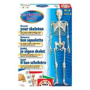  The Human Body   Discover Your Skeleton Toys & Games