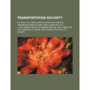  Transportation security efforts to strengthen aviation 