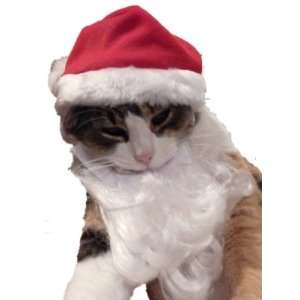 Pet Santa Claus Hat & Beard Cat & Small Dog: Pet Supplies