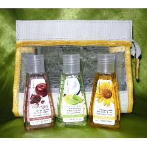  Essence of Beauty 4 Piece Antibacterial Hand Sanitizer and 