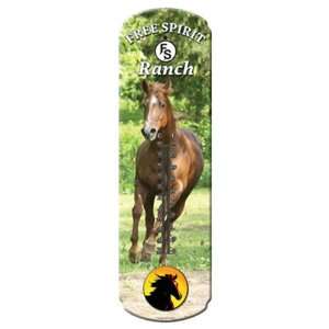   : Rivers Edge Products Large Horse Tin Thermometer: Sports & Outdoors