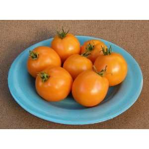  Japanese Slicing Tomato Mandarin Cross Seeds Patio, Lawn 