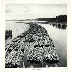   Log Jam Timber Coast Industrial   Original Rotogravure