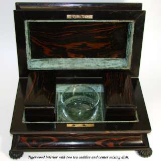 Fab Antique Victorian Tiger or Rosewood 15 Double Well Tea Chest, Tea 