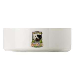  Easter Egg Cookies   Tibetan Pets Large Pet Bowl by 