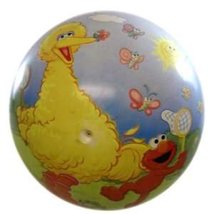   8in Schoolyard Fun Sesame Street Ball   Big Bird Ball: Toys & Games