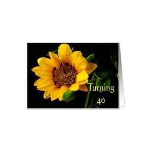  40th Birthday, yellow Gazania Card Toys & Games