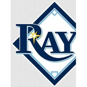  Wallpaper Fathead Fathead MLB Players & Logos tampa Bay Rays Logo 