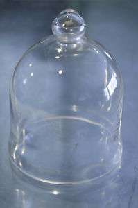 Medium Broad 12 Clear Glass Cloche Bell Jar w/Knob  
