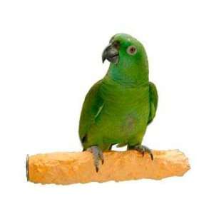   Medium (Catalog Category: Bird / Perches bolt On Type): Pet Supplies