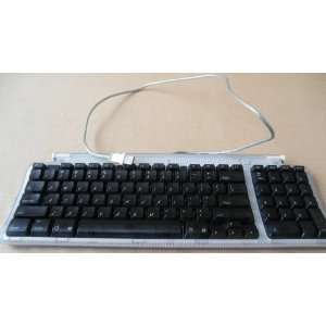   M2452 USB Keyboard for G3 iMac   Blue   Two USB ports: Electronics
