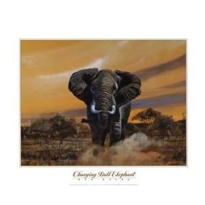  Charging Bull Elephants Poster by Don Balke (20.00 x 16.00 