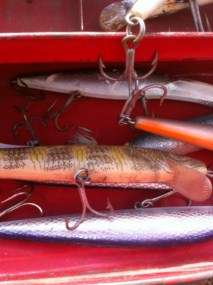   Box Chest Full Of Fishing Lures Rebel Cordell Bigmac Big MaC  