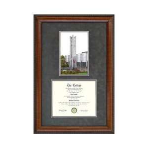   Temple University Suede Mat Diploma Frame with Lithograph Sports