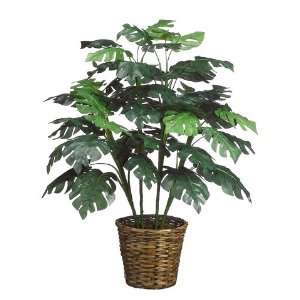   wx32l Split Philodendron in Basket Green (Pack of 2): Home & Kitchen