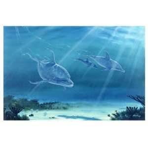  Bill Northup   Atlantic Bottlenose Dolphin Giclee Canvas 