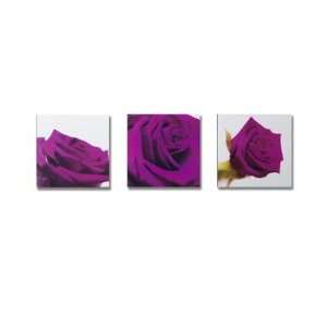  Box Art   Purple Roses Box Art   12 X 36 (Set of 3 