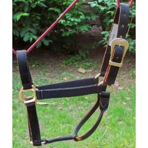   Halter with Brakeaway (Plus Extra Brakeaway)