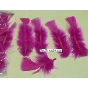   Dark Pink Turkey Feathers 75/100 Pcs. 3 5 Long: Patio, Lawn & Garden