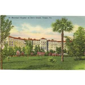   Vintage Postcard   Municipal Hospital on Davis Island   Tampa Florida