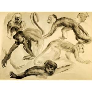  1944 Print Wildlife Watercolor Art Ernst Denzler Monkey 