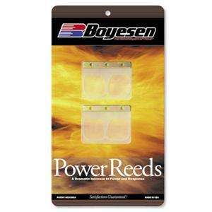 YAMAHA BOYESEN POWER REEDS DIRT DT250 DT 1974   1975  