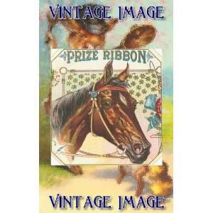   Art Greetings Card Horses Prize Ribbon Vintage Image
