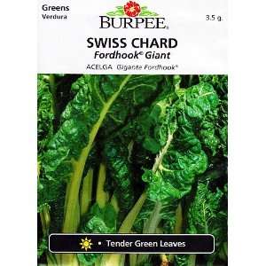  Burpee Fordhook Giant Swiss Chard   100 Seeds Patio, Lawn 
