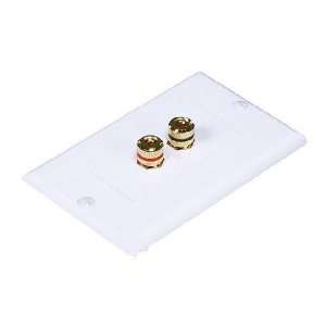   SPEAKER WIRE WALL PLATE FOR SURROUND SOUND HOME AUDIO: Electronics
