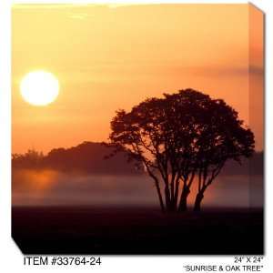  All Weather Art Sunrise & Oak Tree Print: Home & Kitchen