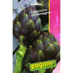  Pagano 1687 Artichoke (Carciofo) Di Romagna Seed Packet 