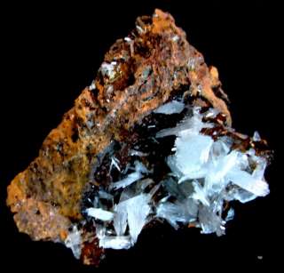 White Hemimorphite Crystal Cluster Mineral Specimen Mapimi Mexico 4 x 