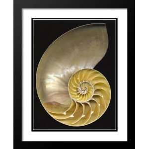   Feinstein Framed and Double Matted Art 20x23 Chambered Nautilus