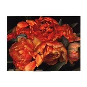   Tulips II Finest LAMINATED Print Rachel Perry 19x13