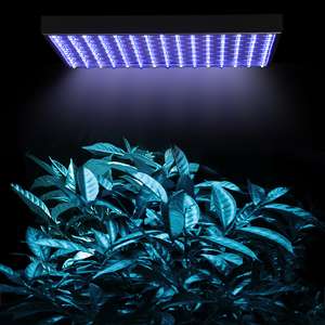 225 BLUE + WHITE LED AQUARIUM PLANT GROW LIGHT PANEL US  