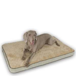  Memory Sleeper Dog Bed   Small/Mocha: Pet Supplies