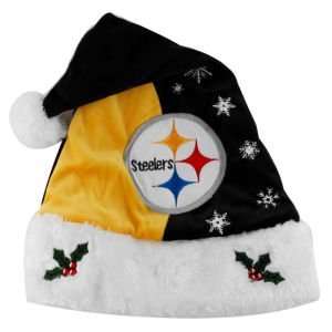    Pittsburgh Steelers 2011 Team Logo Santa Hat: Sports & Outdoors