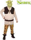 shrek costume adult  
