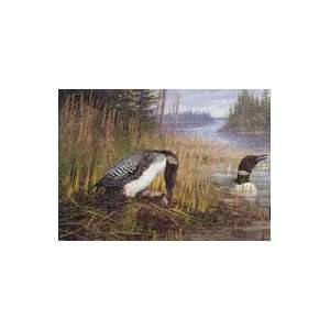  Michael Sieve   Common Loons Artists Proof
