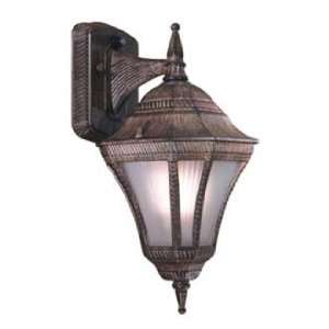  Segovia ENERGY STAR® 14 1/2 Vintage Rust Outdoor Light 
