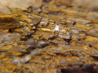   Gold after Sylvanite Crystal Cluster CRIPPLE CREEK, COLORADO  