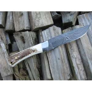 Stunning Custom Made Damascus Knife   Stag Antler Handle  